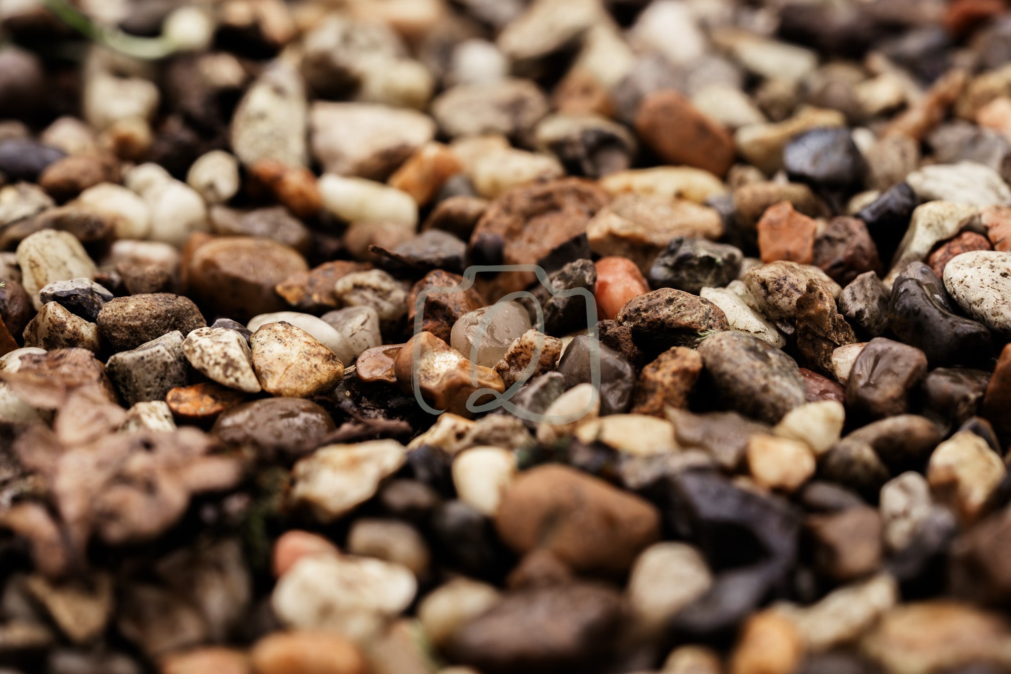 Close view of soft multicoloured pebbles in natural light, creating a calm and grounding texture for nature inspired digital branding.