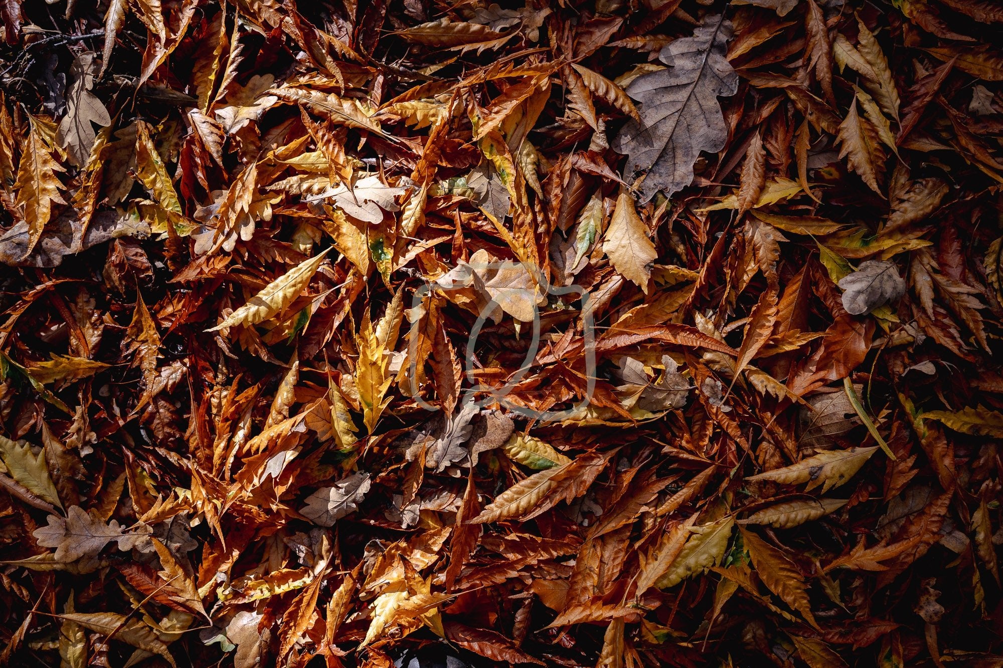 Between the seasons - The Quiet Photographer