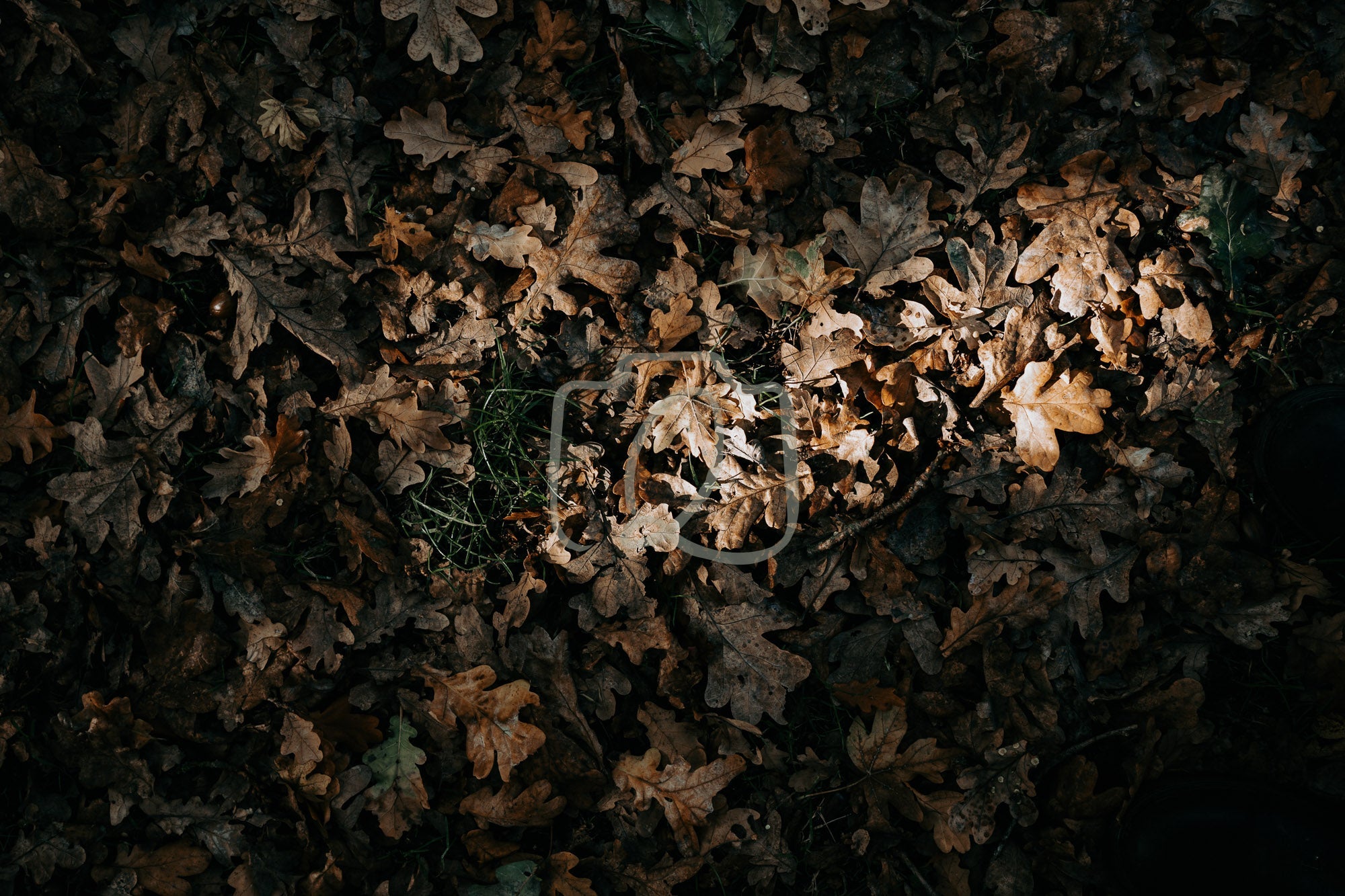 Earth, illuminated - The Quiet Photographer