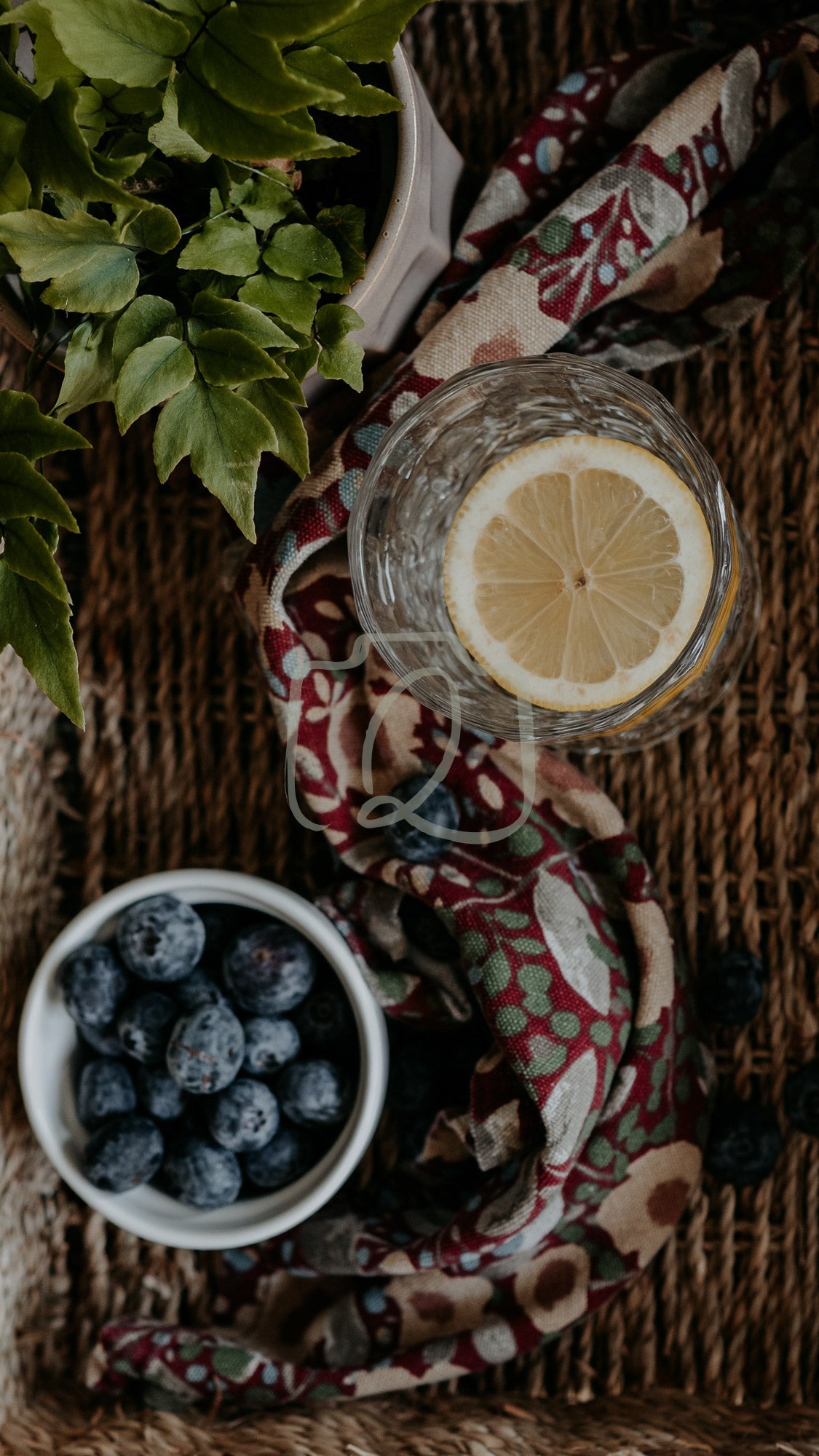 Glass of lemon water and bowl of blueberries on woven surface with floral cloth and green plants